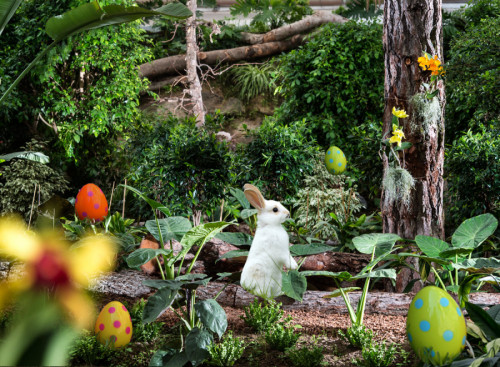 Ostern Ostern