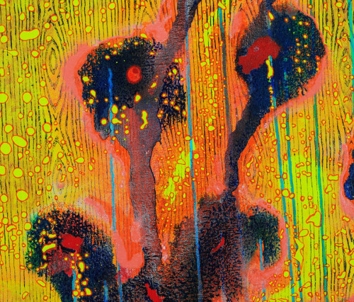 Jared Deery, "Still, Volcano Flower", 2018, acrylic on canvas, 122 x 183 cm, detail Jared Deery, "Still, Volcano Flower", 2018, acrylic on canvas, 122 x 183 cm, detail