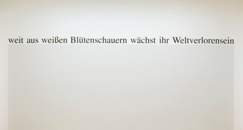 Haim Steinbach, "weitausweißenblütenschauernwächstihrweltverlorensein" Haim Steinbach, "weitausweißenblütenschauernwächstihrweltverlorensein"