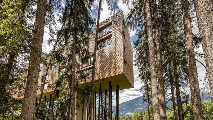 Restaurant My Arbor in St. Andrä